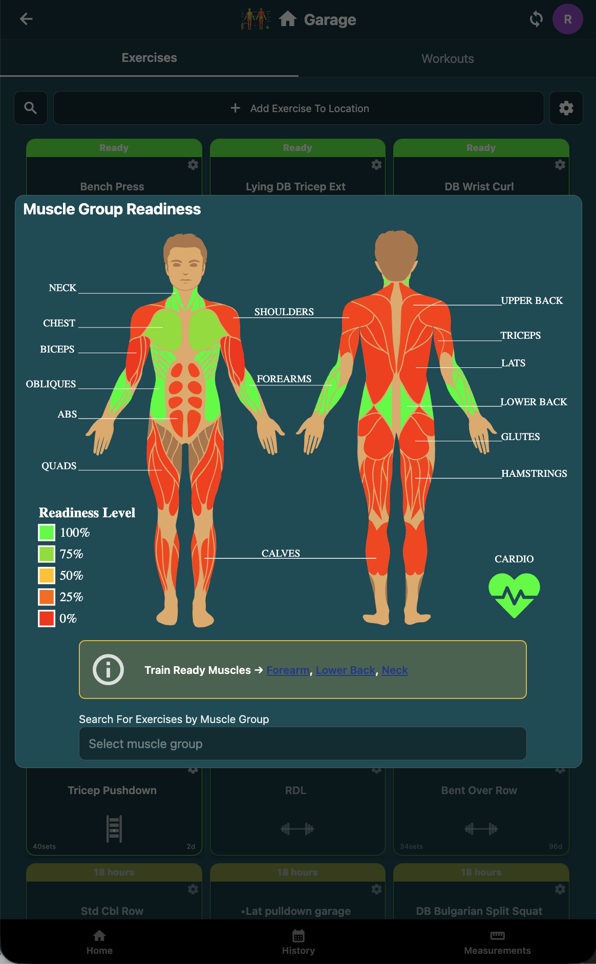 Muscle group readiness heatmap